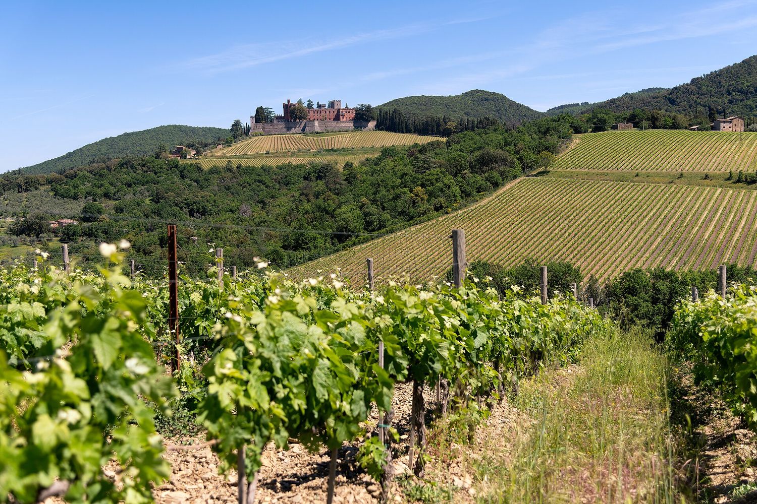 La Casa di Virma — Appartamento nel centro di Castelnuovo Berardenga, Chianti,  (Toscana)